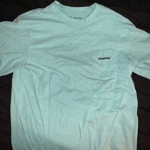 Teal Patagonia T-shirt